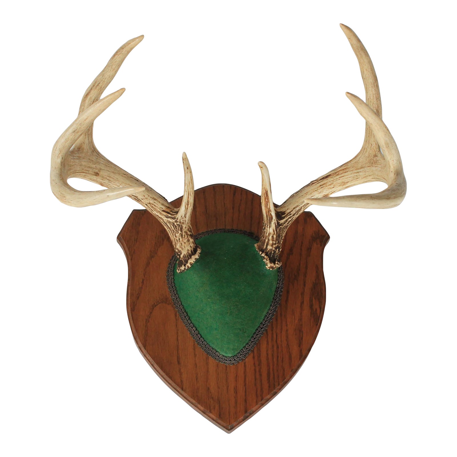 Vintage Eight Point Whitetail Deer Antler Plaque | Chairish
