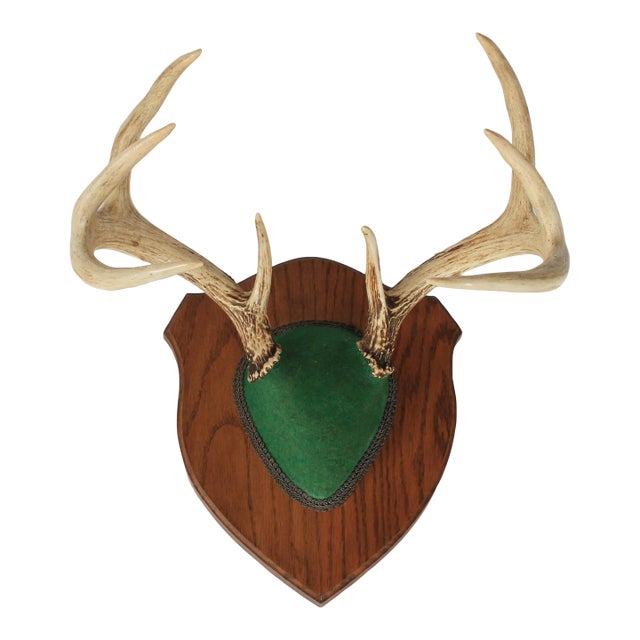 Vintage Eight Point Whitetail Deer Antler Plaque For Sale