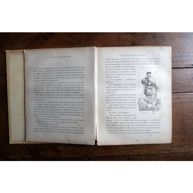 Antique French Illustrated Book "Mon Ami l'Oiseau Bleu" by Guy Chantepleure, c.1900 – Art Nouveau For Sale - Image 11 of 12