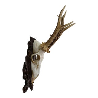 Vintage Red Deer Trophy on Carved Plaque, Germany 1950s For Sale