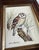 1970s One Owl Painting in Wooden Frames, Signed by Artist For Sale In Atlanta - Image 6 of 7
