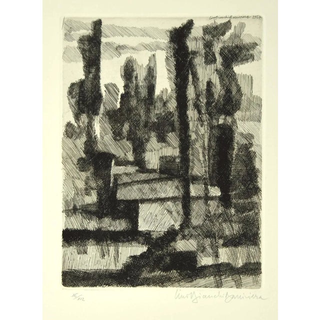 Trees - Original Etching by L. Bianchi Barrivera - 1964 1964 For Sale