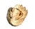 Early 20th Century Giant Natural Fossilized Clam Shell For Sale - Image 5 of 9