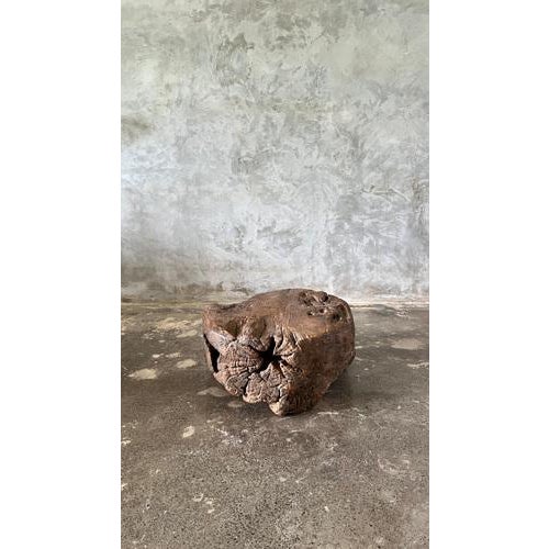 Brown Small Circular Coffee Table in Organic Monoxyl Teak For Sale - Image 8 of 15