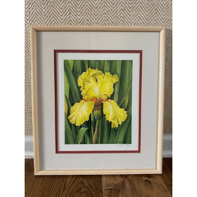 Traditional Manabu Saito Limited Edition Iris Botanical Prints Signed Pair Framed For Sale - Image 3 of 12