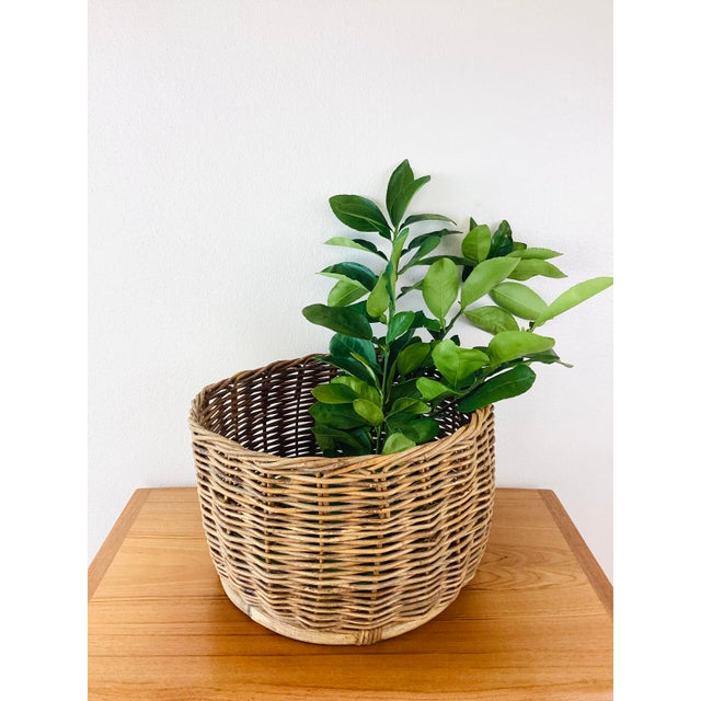 Vintage Rustic Woven Wicker / Reed Basket Planter Organizer For Sale - Image 4 of 8