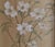 Wood 1907 Gouache Flower Painting of Dogwood Branches For Sale - Image 7 of 11
