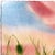 Contemporary Poppies 2 - Original Botanical Floral Watercolor Painting on Paper For Sale - Image 3 of 6