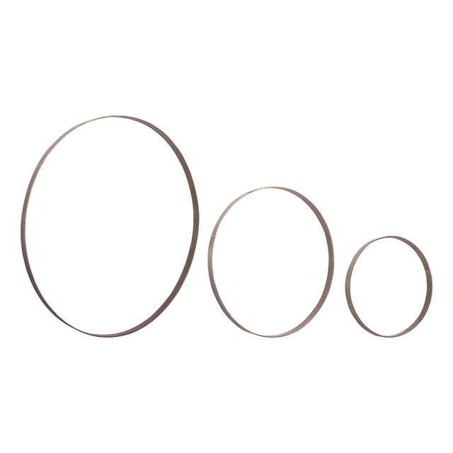Iron Metal Rings Wall Display (Set of 3) For Sale