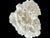 Late 20th Century Natural White Coral Reef Specimen #7 For Sale - Image 5 of 10