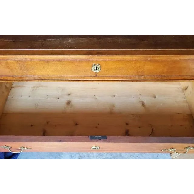 Brown 19th Century Danish Chest of Drawers For Sale - Image 8 of 10