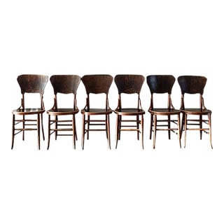 Antique Bentwood Cafe Chairs in the Style of Micheal Thonet , Set of 6 For Sale