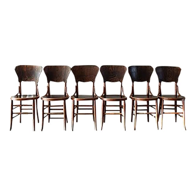 Antique Bentwood Cafe Chairs in the Style of Micheal Thonet , Set of 6 For Sale