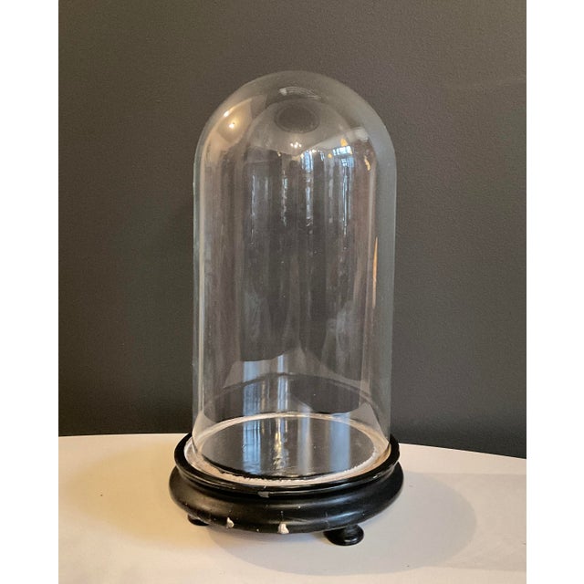 Antique Hand Blown Glass Cloche Dome on Grooved Base | Chairish