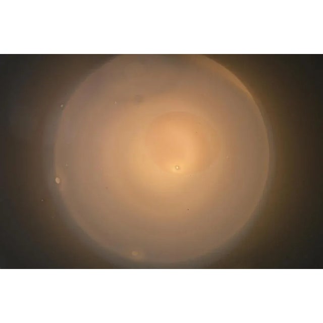 Eclipse Pendant by Atelier George For Sale - Image 6 of 8