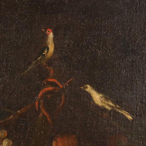 Lombard School Artist, Still Life with Flowers, Fruit and Birds, 1700s, Oil on Canvas For Sale - Image 7 of 12