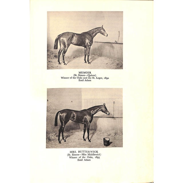 "Memories of Racing and Hunting: The Duke of Portland" 1935 the Duke of Portland For Sale - Image 11 of 11