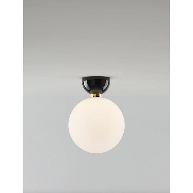 Black Aballs a Ii Gr Golden Wall Lamp by Jaime Hayson for Parachilna For Sale - Image 8 of 10
