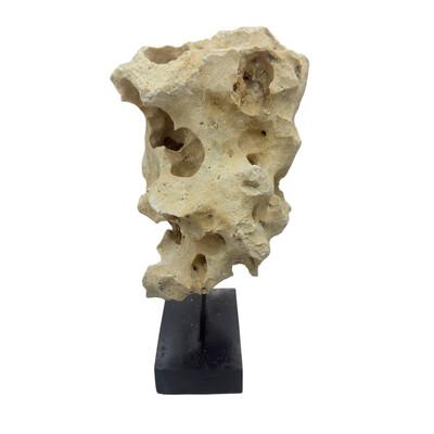Natural coral stone from Indonesia with a sandy hue, displayed on a handcrafted teak stand. Its organic texture and warm...
