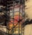 Contemporary Absence/No Presence by Brooks Salzwedel | India Ink and Acrylic Artwork of a Tree and Structure For Sale - Image 3 of 5