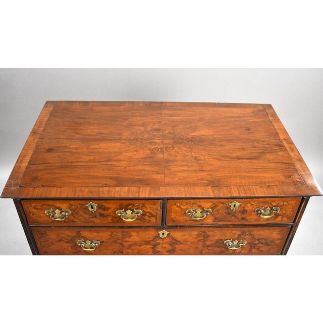 Early 19th Century George Iii Burr Walnut Chest of Drawers, 1800 For Sale - Image 5 of 10