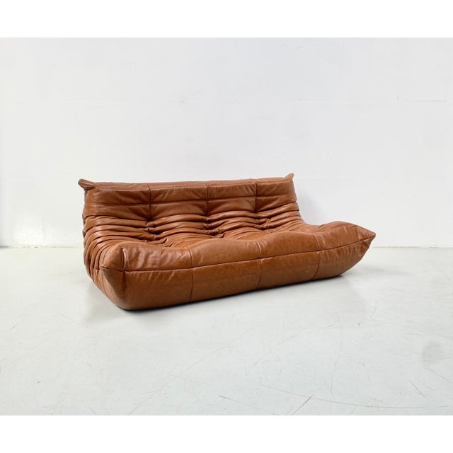 1970s French Togo T3-Seater Sofa in Cognac Leather by Michel Ducaroy for Ligne Roset For Sale - Image 5 of 14