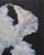 Abstract “Bearded Iris” Impressionistic Oil Painting by Jack Follmer For Sale - Image 3 of 6