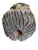 Early 20th Century Folk Art Beehive Tree Trunk Head For Sale In Aspen - Image 6 of 7