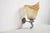 French Tulip and Fish Wall Sconce in Chrome and Peach Marbled Glass, 1940s For Sale - Image 11 of 11