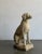 Well preserved durable cement dog garden sculpture in good vintage condition. Around 45lbs