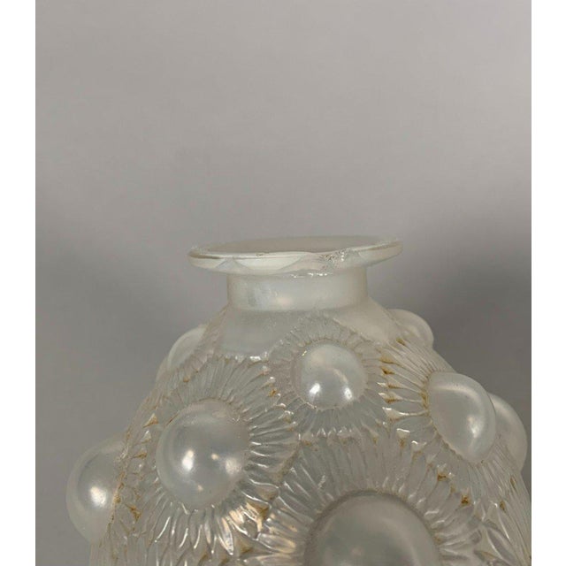 Art Nouveau René Lalique vase (1860-1945), "sunflower" model, 1927, Art Nouveau For Sale - Image 3 of 7