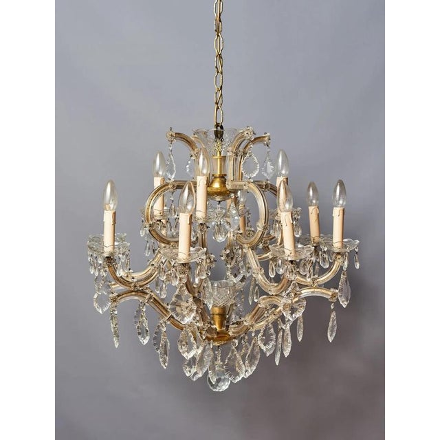 Larger Theresian Chandelier with Thirteen Bulbs For Sale - Image 4 of 10