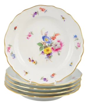 Hand-Painted Porcelain Plates with Floral Motifs from Meissen, Set of 5