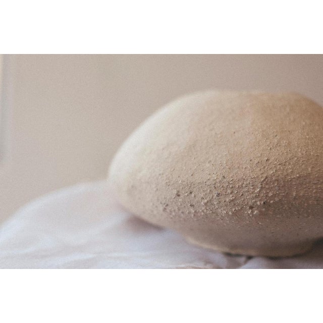 Tulipan Vase by MCB Ceramics For Sale - Image 4 of 17