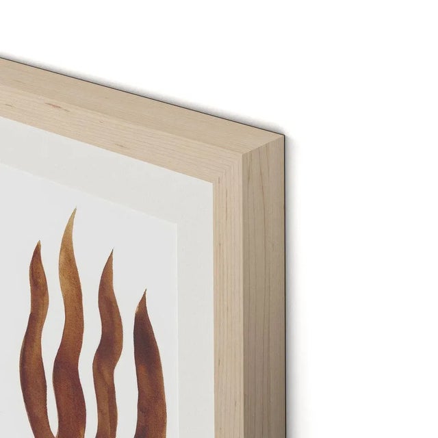 DESCRIPTION: Matisse Doodles by Lia Burke Libaire in Maple Frame, Small Art Print on Paper SPECIFICATIONS: Type: Giclée...