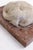 Small Art Deco Sculpture of a Sleeping Dog on a Marble Base, 1920s-1940s For Sale - Image 9 of 11