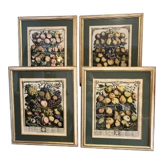 Beautifully Framed Botanical Prints of Fruit of the Month After Furber/Castells - Set of Four For Sale