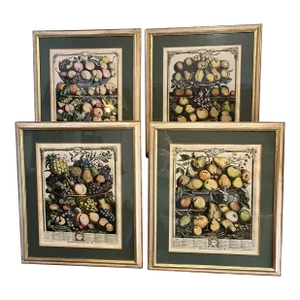 Beautifully Framed Botanical Prints of Fruit of the Month After Furber/Castells - Set of Four