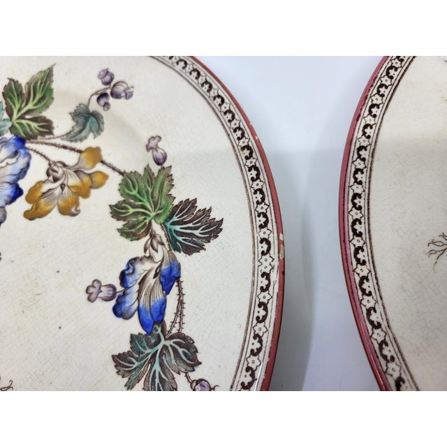 Antique Victorian Plates by Brownfield & Sons, 1880, Set of 8 For Sale - Image 10 of 17
