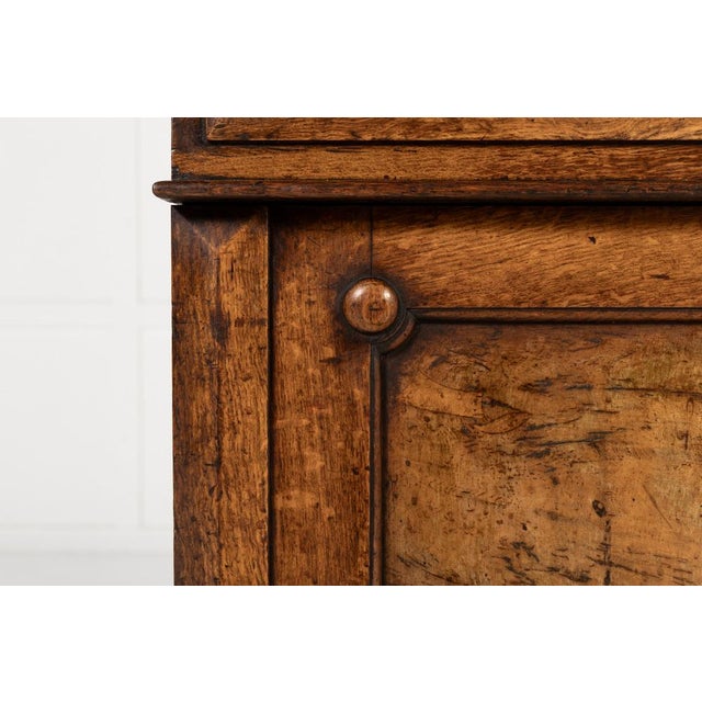 19th Century English Pollard Oak Bookcase For Sale - Image 5 of 10