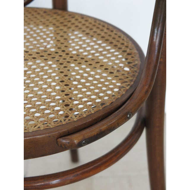 Vintage Chairs by Michael Thonet for Thonet, 1930s, Set of 6 For Sale - Image 12 of 18