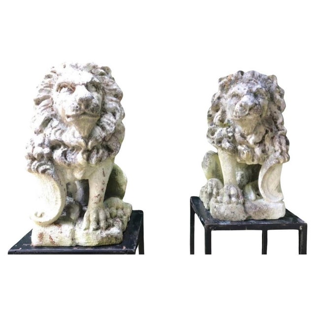 Stone Lions, 1950s, Set of 2 For Sale - Image 12 of 12
