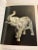 1989 l'Elefante The Elephant Italian Book For Sale In New York - Image 6 of 12