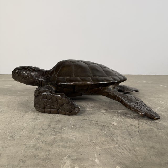 Large Bronze Sea Turtle Sculpture – 26” L For Sale - Image 10 of 14