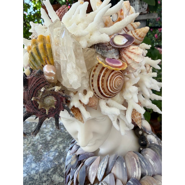 Christa's South Seashells CSS 14"h. Seashells Marble Bust of Apollo For Sale - Image 4 of 7