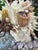 Christa's South Seashells CSS 14"h. Seashells Marble Bust of Apollo For Sale - Image 4 of 7