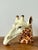 Ivory Vintage Italian Glazed Ceramic Giraffe Cache Pot For Sale - Image 8 of 12