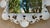 Vintage Coastal Cast Iron Shell & Starfish Wall Mirror For Sale In Miami - Image 6 of 15