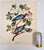 Audubon Bird Print – “Band Tailed Pigeon”, 1964 Abrams Folio – Vintage Ornithology Art 1964 print from "The Audubon Folio:...