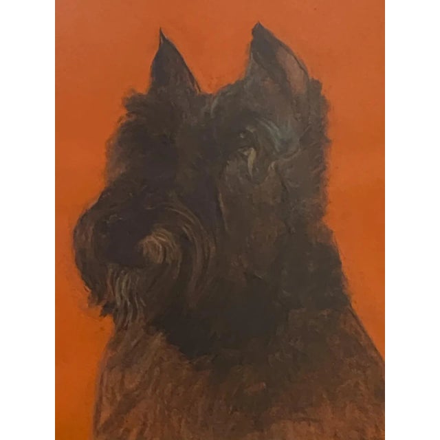 Traditional Vintage Charcoal Sketch of a Schnauzer For Sale - Image 3 of 5